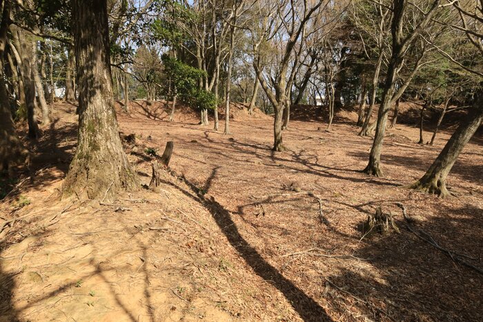 太閤ヶ平の主郭。陣城とは思えぬスケール感
