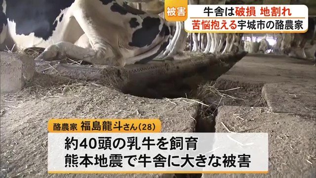 地割れが走るなどの被害を受けた牛舎