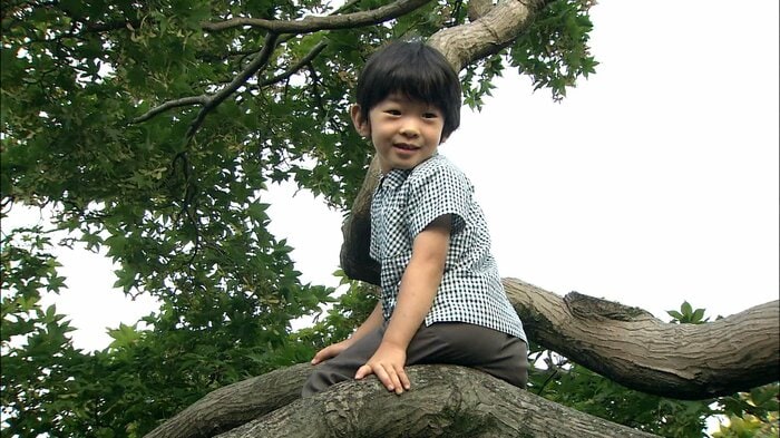 平成23(2011)年