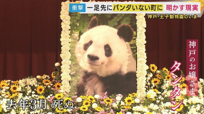 去年3月に死んだ神戸市の王子動物園のタンタン