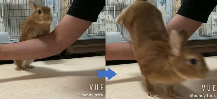 腕のジャンプ