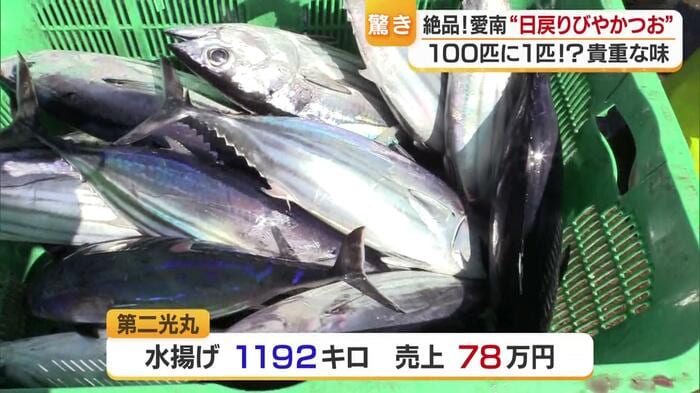 満足はできないが利益の出る水揚げに