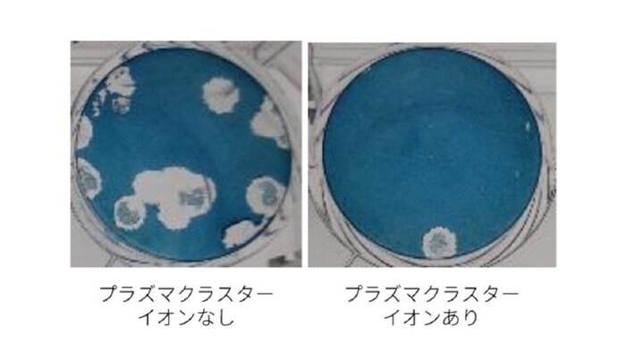 「プラズマクラスター」が空気中の新型コロナ減少に有効と実証…シャープに今後の展望を聞いた