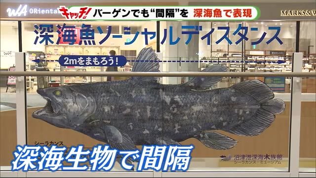 バーゲンでも感染防止 名付けて「マナー・バーゲン」 静岡・沼津市