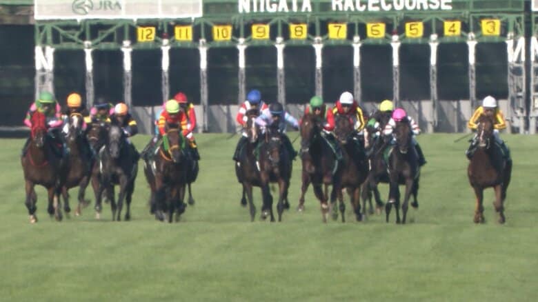 【夏競馬最終戦 新潟記念・G3】G1馬5頭が集結!C.ルメール騎手がロデオドライブと2000メートルへ|FNNプライムオンライン