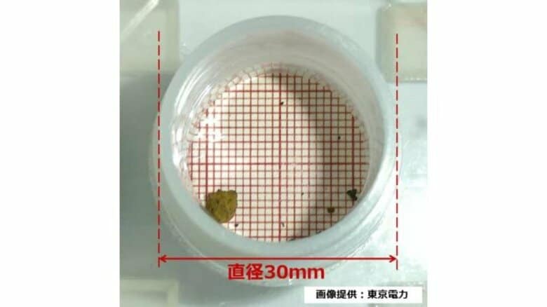 燃料デブリ2度目の“原発構外”へ　茨城県の研究施設に約0.2g搬出完了＜福島第一原発＞｜FNNプライムオンライン