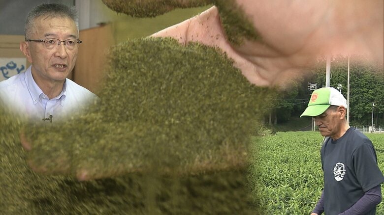 お茶でお茶を育てる？化成肥料の価格が高騰する中で”救世主”は細粉　これまではお金を払って廃棄　加工業者にもメリット｜FNNプライムオンライン