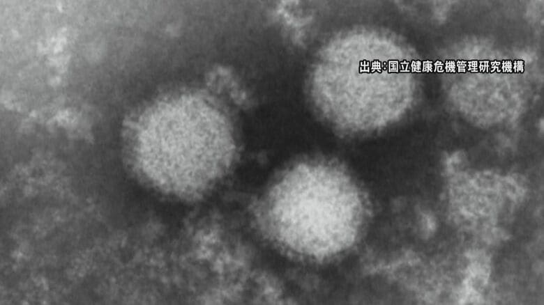 マダニ媒介の感染症「SFTS」感染者数124人で“過去最多”に迫るペース…北海道などでも確認　患者の致死率27％｜FNNプライムオンライン