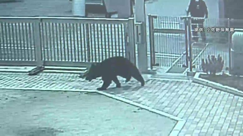 【速報】クマが住宅と塀の間に挟まる　自力で抜け出し逃走　岩手県釜石市 　｜FNNプライムオンライン