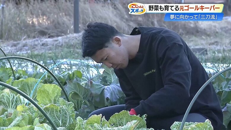 元Jリーガーが挑む異色の「三刀流」！元高知ユナイテッドSC・井上聖也さんのセカンドキャリアに密着｜FNNプライムオンライン