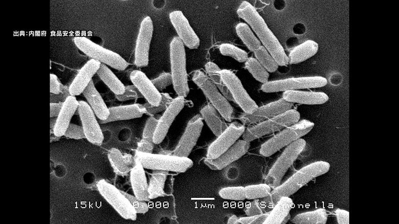 旅館のバイキングでサルモネラ属菌による食中毒　81人が下痢や腹痛などの症状　患者はほとんどが家族旅行で東京、埼玉、愛知などから訪れた10歳未満から70代以上　3人が入院｜FNNプライムオンライン