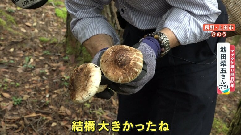 【異例】「秋の味覚」マツタケ大豊作 例年の半額以下も！ “名人”に同行すると…なんと30分で9本発見！｜FNNプライムオンライン