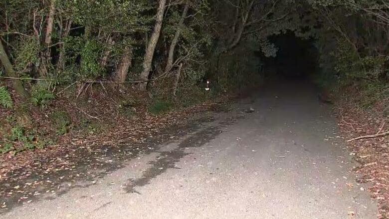 乗っていた車の下敷きになったか…緩やかな坂で軽自動車の前輪に腹など踏まれた71歳男性見つかる 搬送も死亡｜FNNプライムオンライン
