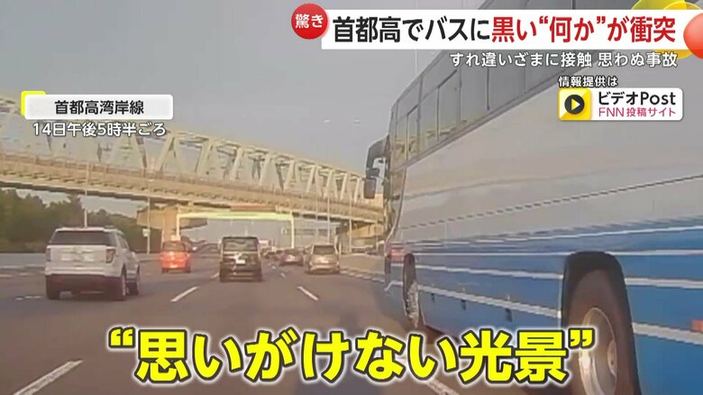 「うわ！！」首都高でバスに衝突した“鳥”が目の前に落下し急ブレーキ　「通話中で気づかず？」“すれ違いざま”積荷接触のトラックが当て逃げ｜FNNプライムオンライン