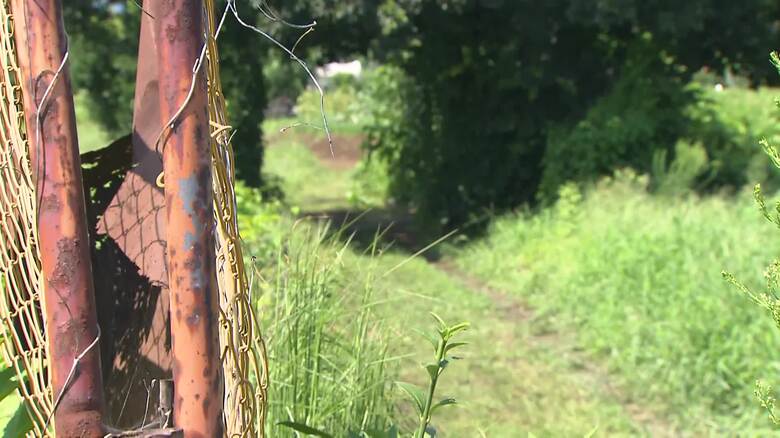 死亡の男子高校生（17）は車に追跡された末に暴行か　友人らとバイク2台で走行　現場付近で追いつかれる　神奈川・相模原市｜FNNプライムオンライン