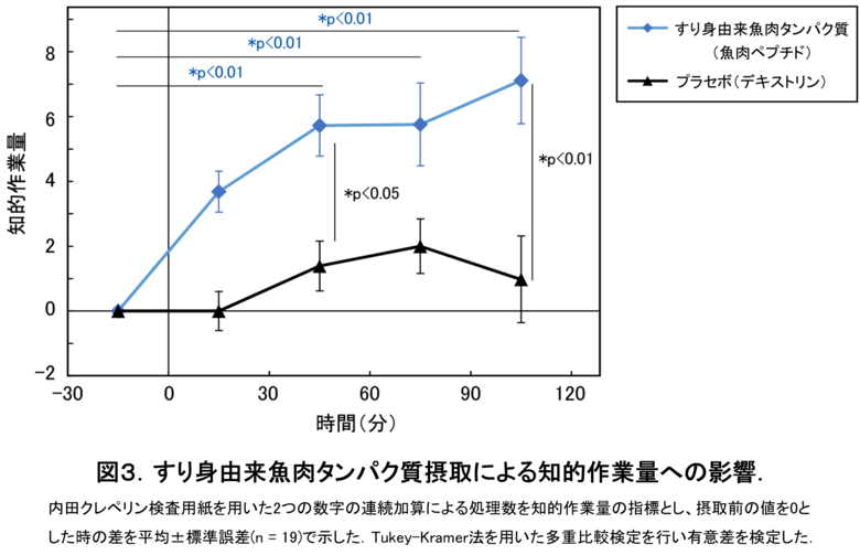 すり身由来魚肉タンパク質摂取による集中力および知的作業効率の向上を確認