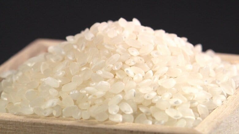 米価格高騰の要因は“コメの生産調整”のやりすぎか…備蓄米販売に農家は「このままでは生産者がいなくなってしまう」｜FNNプライムオンライン