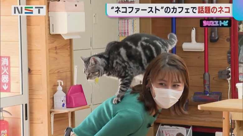 杉山萌奈アナウンサーの背中に