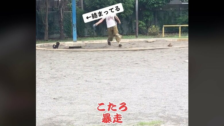 爆走する小太郎くん。翻弄されるパパさん