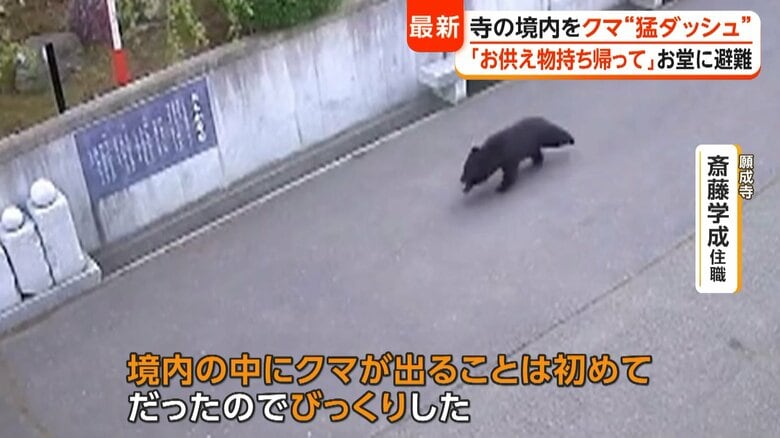 「びっくりした」と話す斎藤学成住職（願成寺）