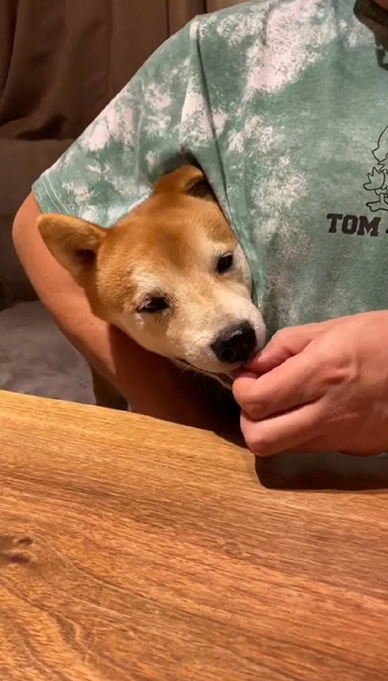 隙間に入ったままおやつをパクリ