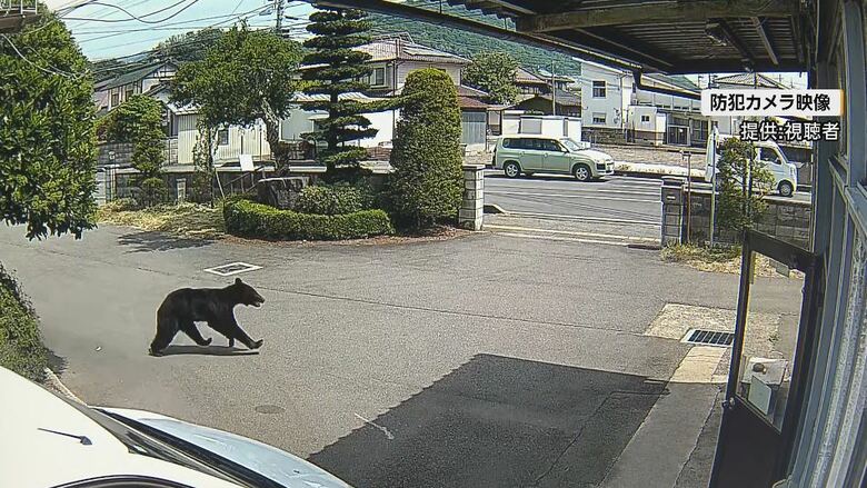 防犯カメラの映像（提供：視聴者）