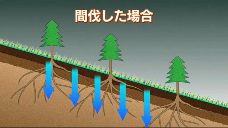 土砂崩れを防ぐ効果