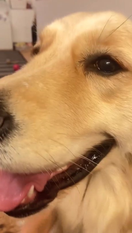 提供：エマさん