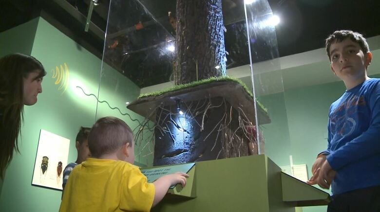 ダン博物館の展示は子供たちにも人気