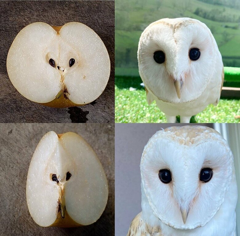 提供：周南市徳山動物園