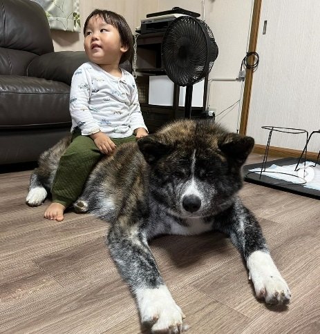 しっかり乗れちゃう大きさのてんてんくん