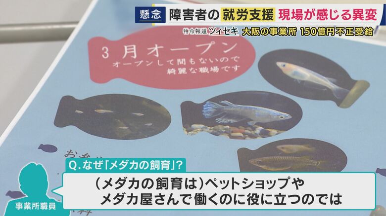 “メダカ飼育”を支援事業としている事業所も
