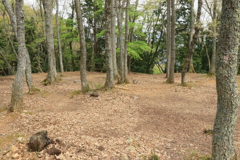 本丸内部。南北約40m、東西約25m