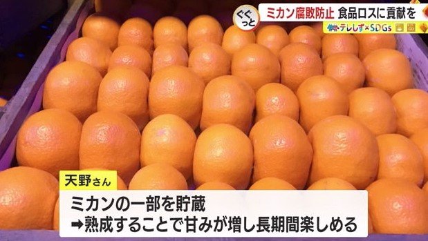 収穫後に倉庫で貯蔵