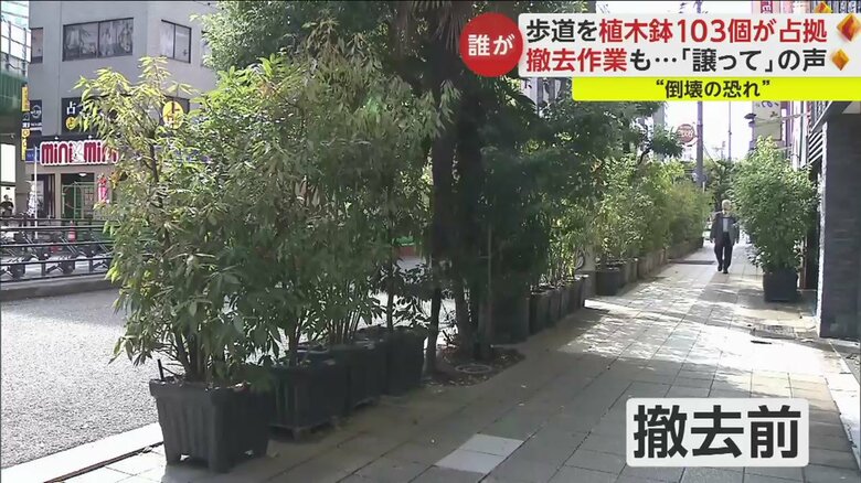 撤去前。植木鉢の木の背が高く、向こう側が見えない