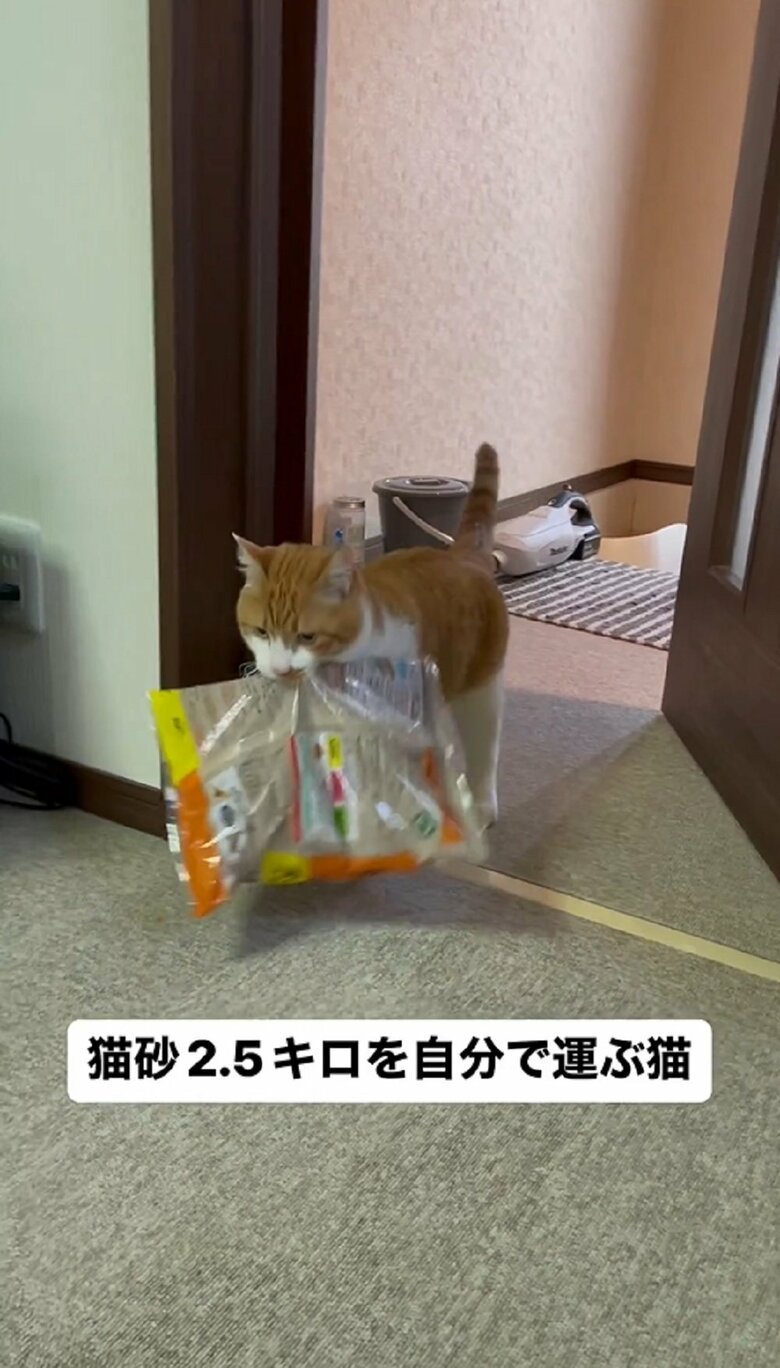 アゴの力がすごい…