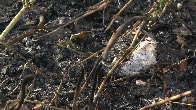 21日も宇都宮市内で雑木林など燃える