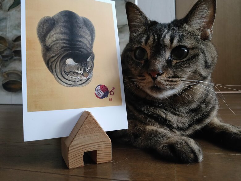 全作品のモデルとなっている「コイモちゃん」