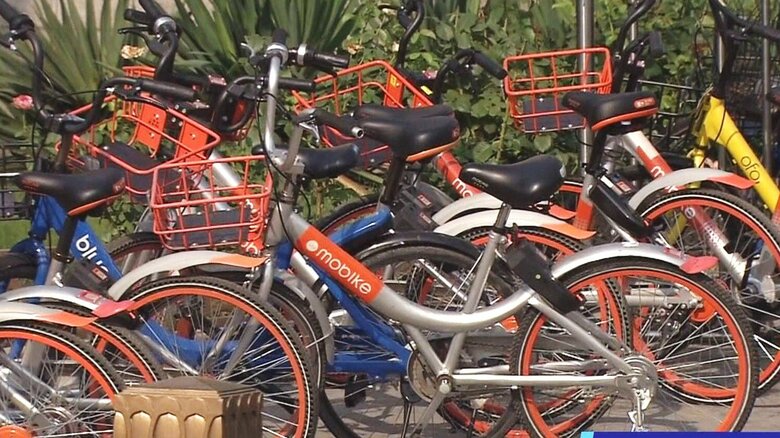 
中国では生活に欠かせないシェア自転車
