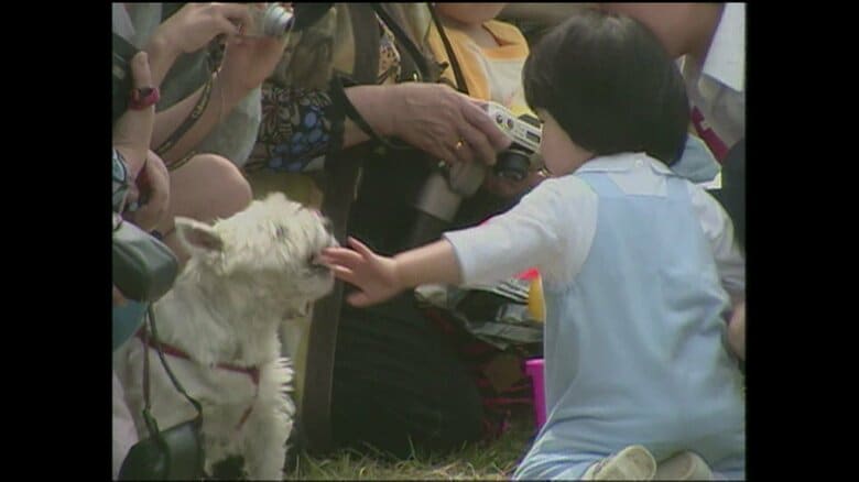 犬に触ろうとして噛まれそうになる場面も（神奈川・葉山町）