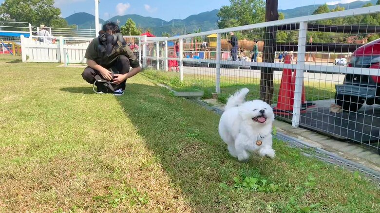 楽しそうな表情のわむうくん