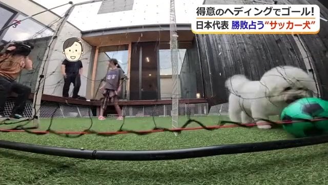 次々とゴールを決めるおこめちゃん