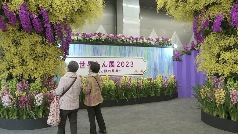 会場入り口を彩った「オーキッド・ゲート2023」
