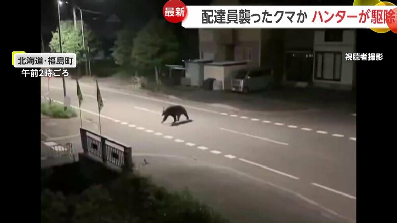 視聴者が撮影したクマの映像