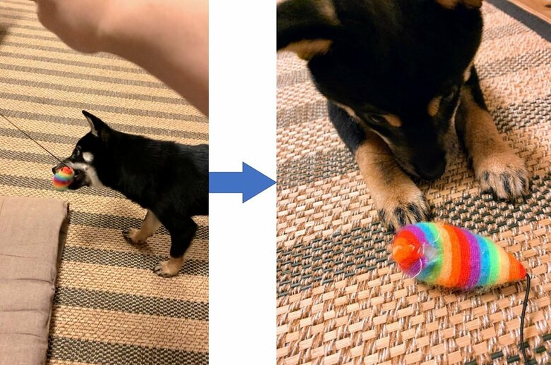 現在ではお気に入りのおもちゃに！