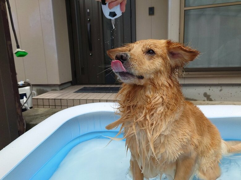 プールで水遊び