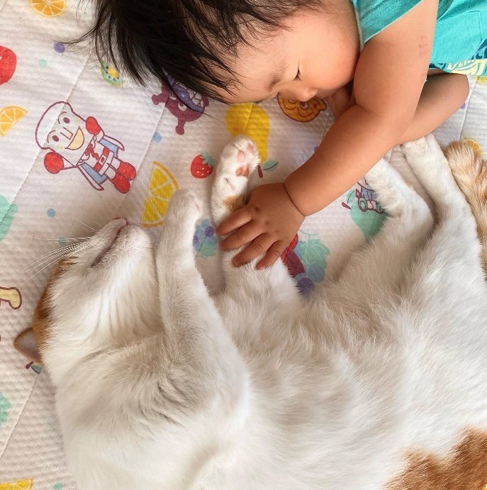 提供：Hassakuさん