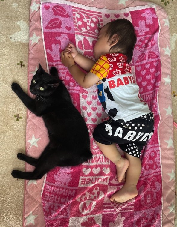 提供：ゴンゾウR4さん