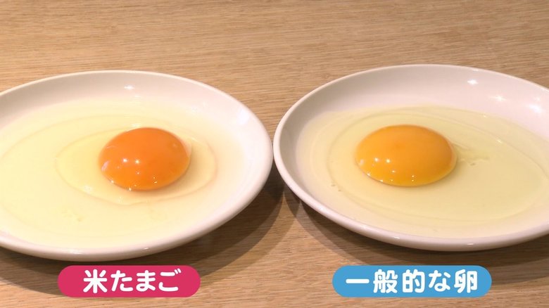 店頭の卵全て産みたて…人気施設はまるで『卵のテーマパーク』 直売所やレストランで客が驚く「違い」