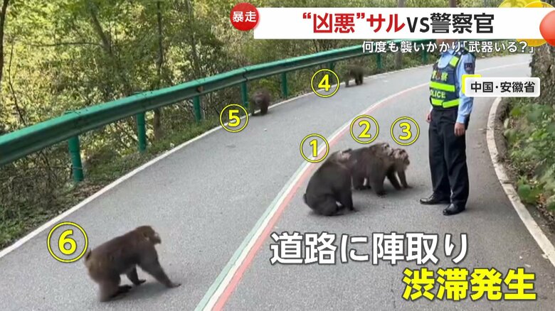 道路を塞いでいたサルの群れ（中国SNSより）